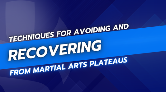 Techniques for Avoiding and Recovering from Martial Arts Plateaus